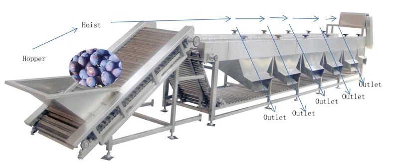 vegetable sorting machine 2 vegetable sorting machine 2