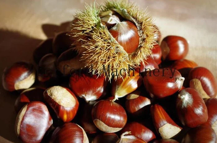 Chestnut Shelling Machine Chestnut Shelling Machine