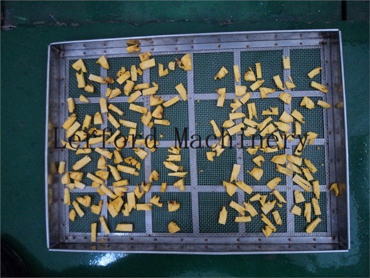 commercial fruit dehydrator machine