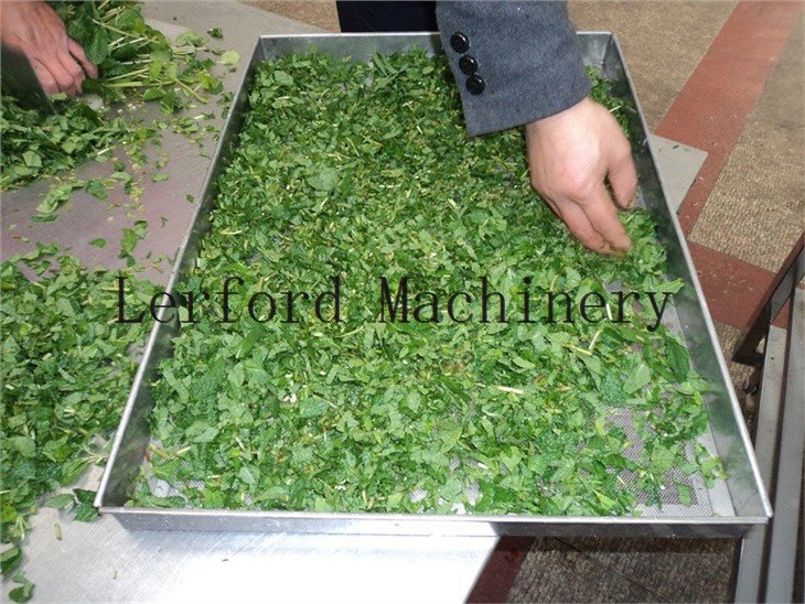 tomato dehydrator machine